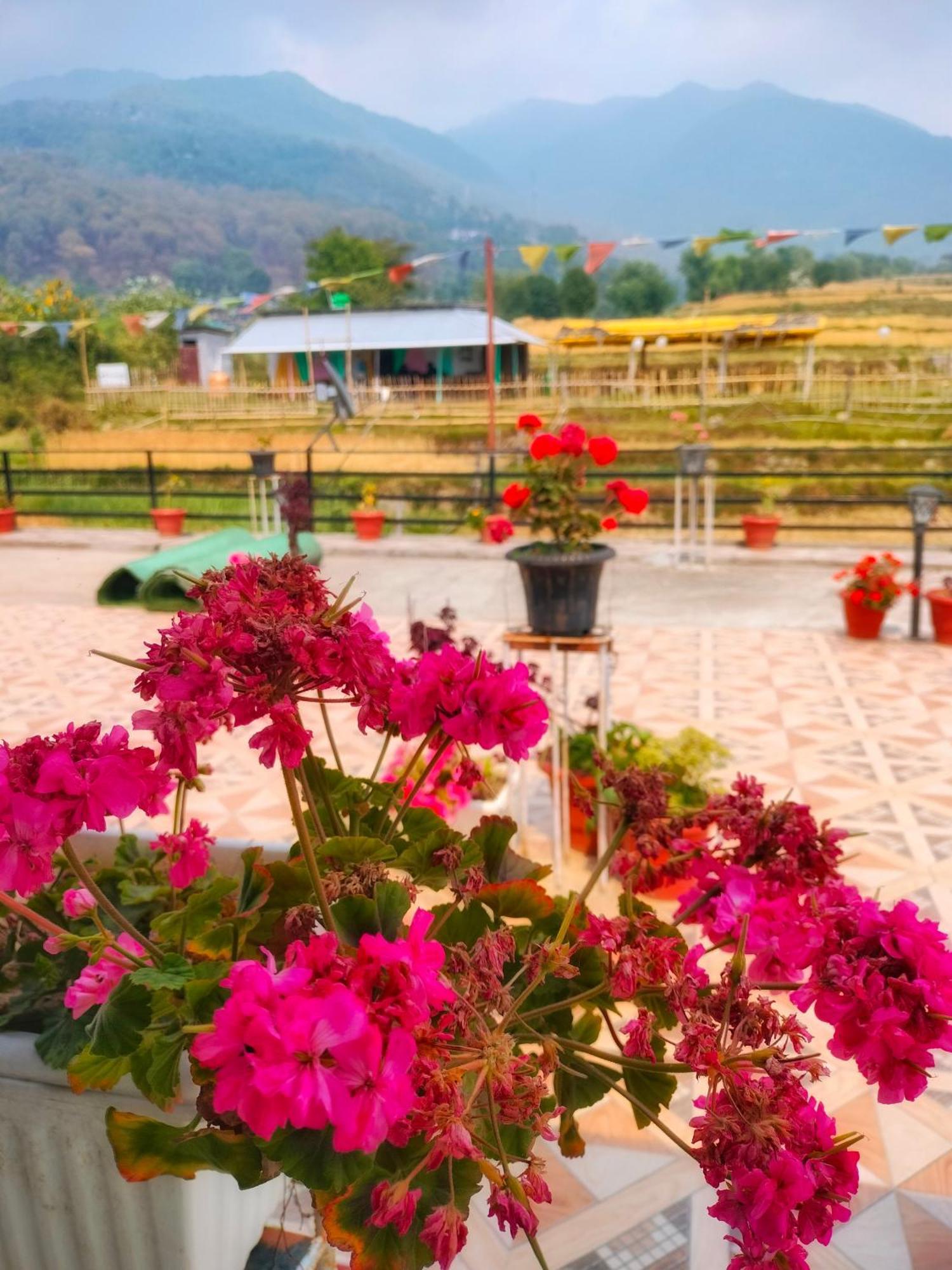 Raahi Stay, Landing Site Bir - Stay & Cafe Esterno foto